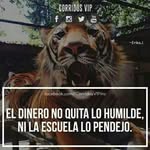 Rafael luna olivarez - @rafaellunaoli - Instagram