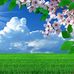 Rafael Paul - Facebook