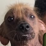 Rafael Perales - @rafael_perales_chavez - Instagram