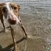 Rafael Perales - @rafael.perales - TikTok
