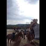 rafael perales haro - @rafaelperalesharo - Instagram