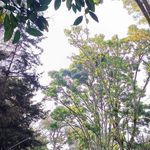 Rafael Sáenz - @rafaelsaenzperez - Instagram