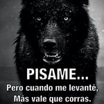 rafael saez - @rafael_saez_ - Instagram