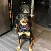 rafaelandsharon - @rafaelandsharon - TikTok