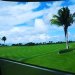 Rafael Suriel - @rs.caribbeanturfpc - Instagram