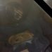 Rafael Taylor - Facebook