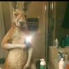 Rafael Torrez - @rafael.torrez21 - TikTok