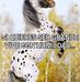 Rafael Torrez - Facebook