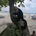 Rafael Ulate - Facebook