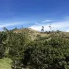 rafaelvaliente610 - @rafael_valiente6 - TikTok