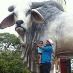 Rafael Vanegas Cruz - @rafaelvanegascruz - Instagram