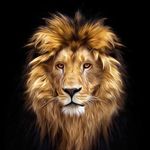Rafael Zepeda - @rafaelzepedaa - Instagram