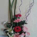 Rafaela Clemente - Facebook