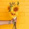 RAFAELA CONTRERAS AC - @rafaela.contreras - TikTok