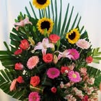 Rafaela Dominguez - Facebook