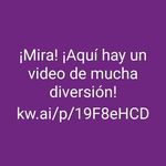 Rafaela Falcon - @rafaela.falcon - Instagram
