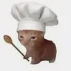 Rafaela Gallo - @rafaela.gallo2 - TikTok