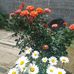Rafaela Gutierrez - Facebook