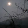 rafaela_henriquez - @rafaela_enriquiez - TikTok