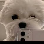 Rafaela Henríquez - @rafaelahenriquez2 - Instagram