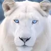Rafaela Herrera - @rafaela.herrera4 - TikTok