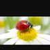 Rafaela Jurado - Facebook