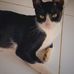 Rafaella Mantelli - Facebook