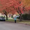 Rafaela Munoz - @rafaela.munoz98 - TikTok