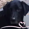 rafaelamurillo8 - @rafaelamurillo8 - TikTok