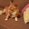 Rafaela Quezada - @rafaela.quezada02 - TikTok