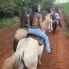 Rafaela Rodrigues - @rafaela_guess_ - TikTok