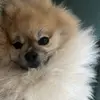 Rafaela Ruiz - @rafaruiiz29 - TikTok