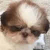 Rafaelasala - @rafaelasala - TikTok