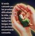 Rafaela Sanchez - Facebook
