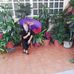 Rafaela Sànchez - Facebook