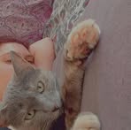 Rafaela Tapia - Facebook