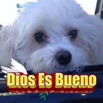 Rafaela Zuniga - @zunigarafaela - Instagram