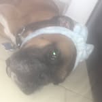 Rafaela Zúñiga - @rafaelazunigaromero - Instagram