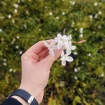 رَفاه الإِبراهيم - @rafah_alibrahem - Instagram