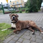 Rafal Dobek - @rdobek2 - Instagram