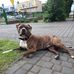 Rafal Dobek - Facebook