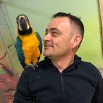Rafał Dobek - @rafal.dobek - Instagram