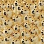 Rafał Janowski - @dogeyworld - Instagram