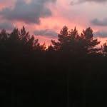 Rafał Krawczyk - @rafalkrawczyk12 - Instagram