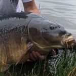 Rafał Nowak - @karpiowymtropem - Instagram