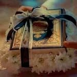 Em Rafat Haddad - @haddademrafat - Instagram