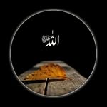 Rafay Sheikh - @rafayshaikh797 - Instagram