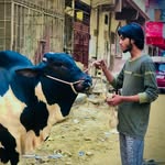 Rafay Sheikh - @rafay_sheikh_110 - Instagram
