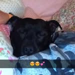 Rafe_davidson2 - @rafe_davidson_23959 - Instagram
