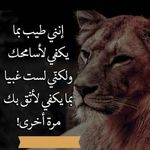 RAFIk DIB - @dib_rafik - Instagram